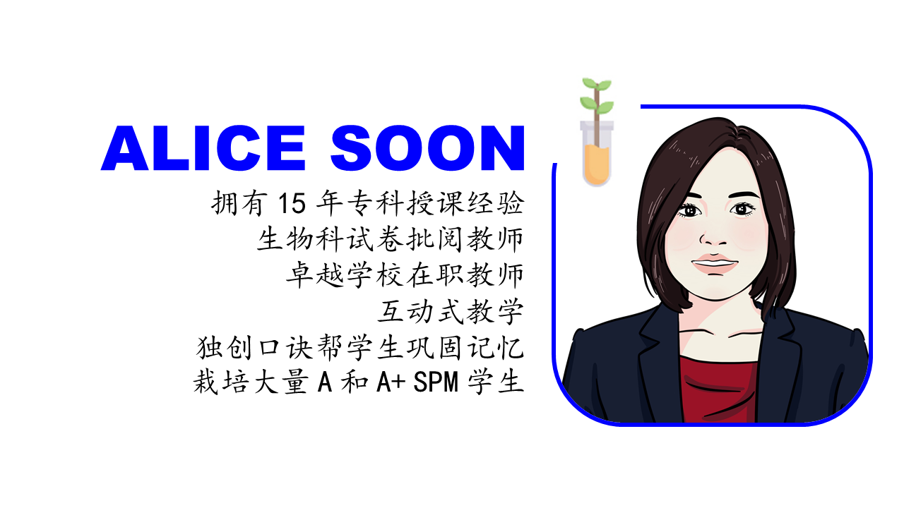 CS Tuition Centre | Official Website
